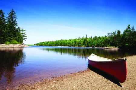 canoe